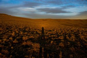 Schatten in der Pampa