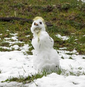 Schneemann in Südamerika