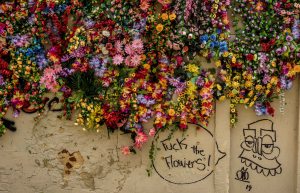 Lissabon_Tag_4_Blumen2